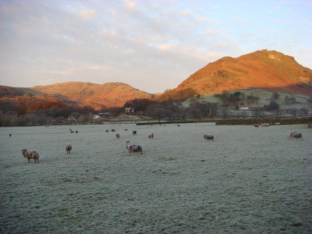 Bed and Breakfast Raise View House Grasmere Zewnętrze zdjęcie